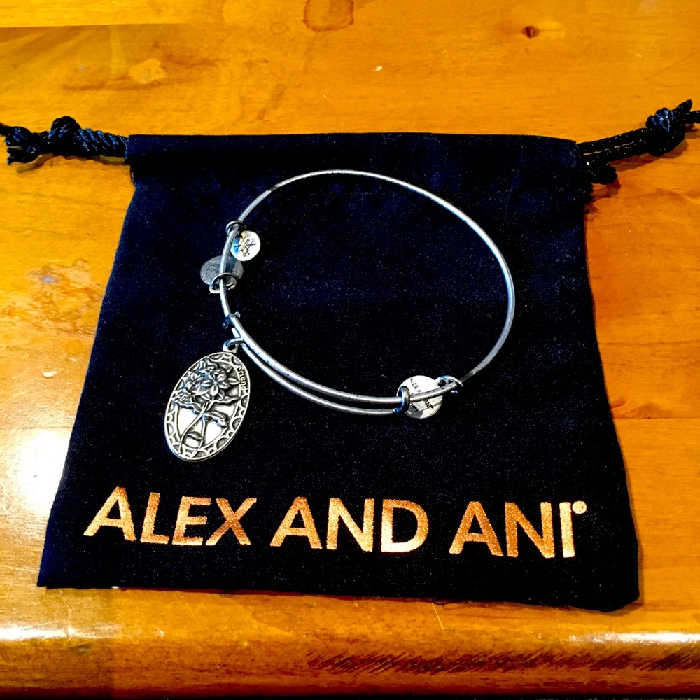 Alex and Ani Friendship charm bracelet